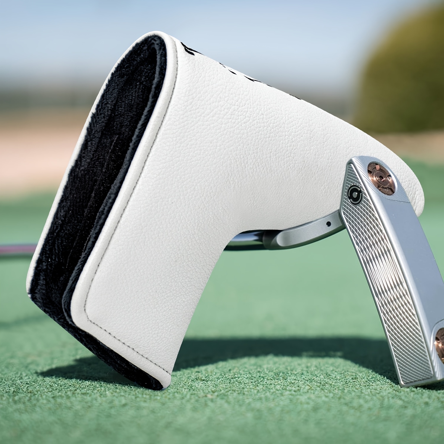 Dinosaur & Crossbones Golf Put - огляд і ціна Golf Equipment Suppliers