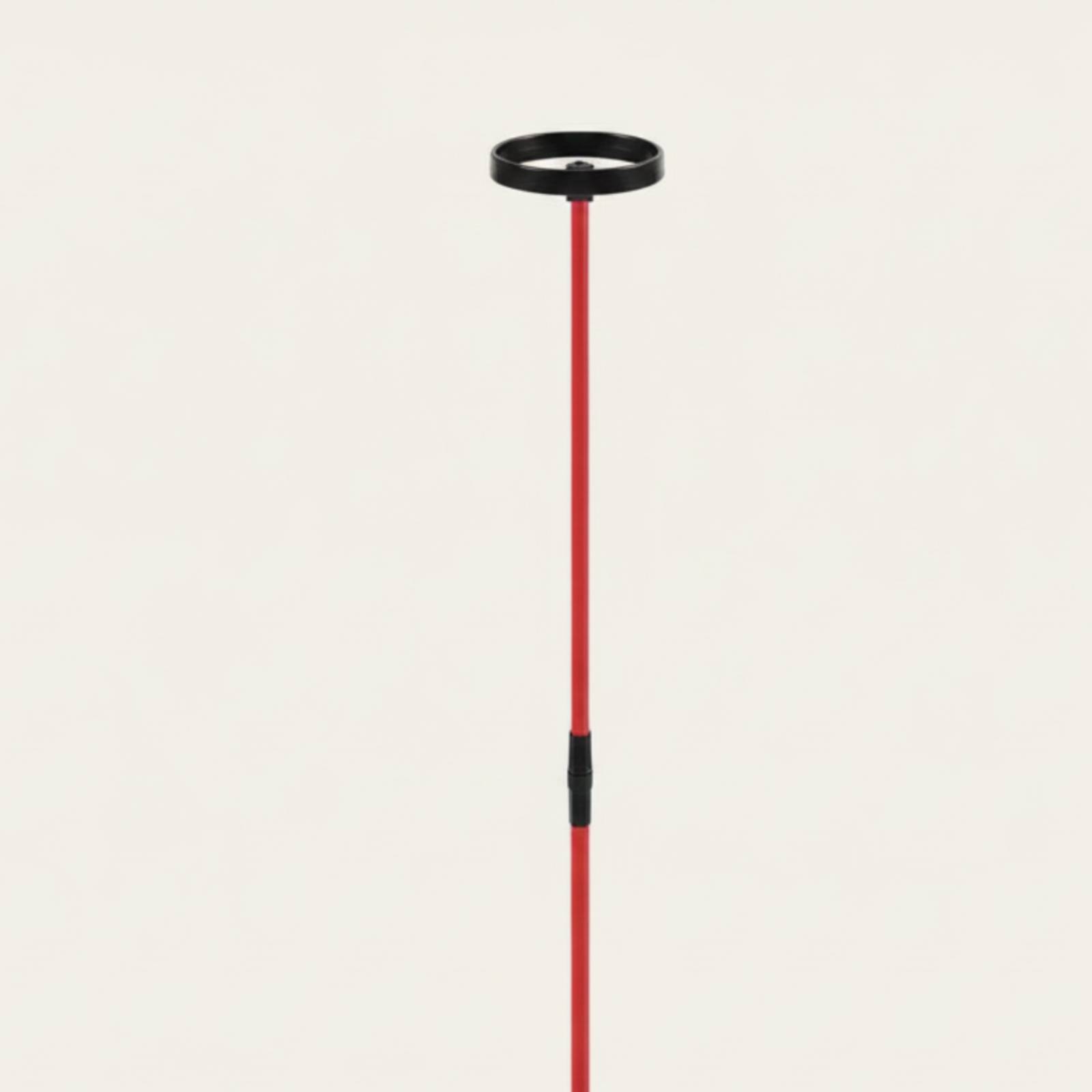 Golf Training Aid with Head St - огляд і ціна Training Aid Swing